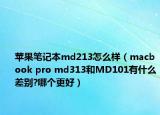 苹果笔记本md213怎么样（macbook pro md313和MD101有什么差别?哪个更好）