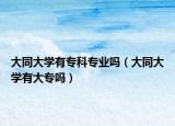 大同大学有专科专业吗（大同大学有大专吗）