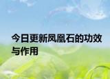 今日更新凤凰石的功效与作用