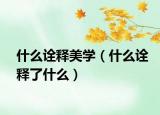 什么诠释美学（什么诠释了什么）