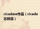 cicadase作品（cicada怎样读）