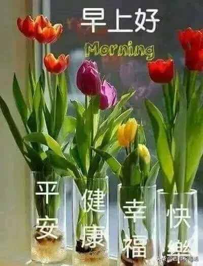 新的一天早晨好问候祝福语录大全，早上好暖心祝福短信大全