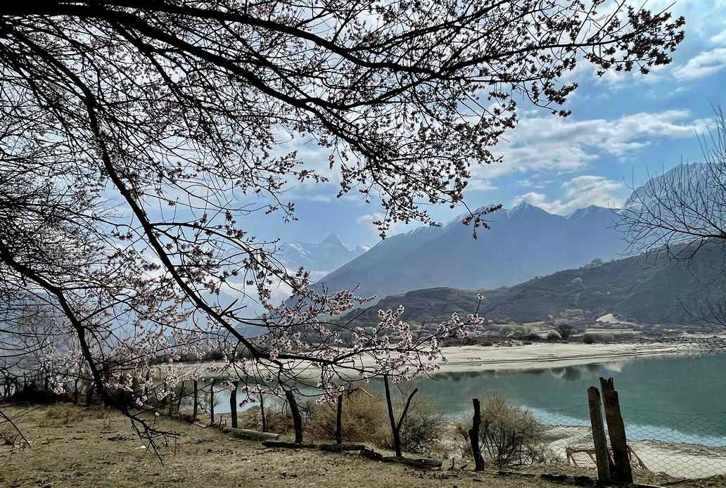 摄影人川藏自驾：林芝最好桃花在哪儿？收门票的索松村是桃花源吗