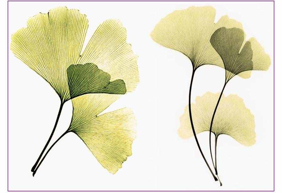 创意儿童画教程｜秋天的美景