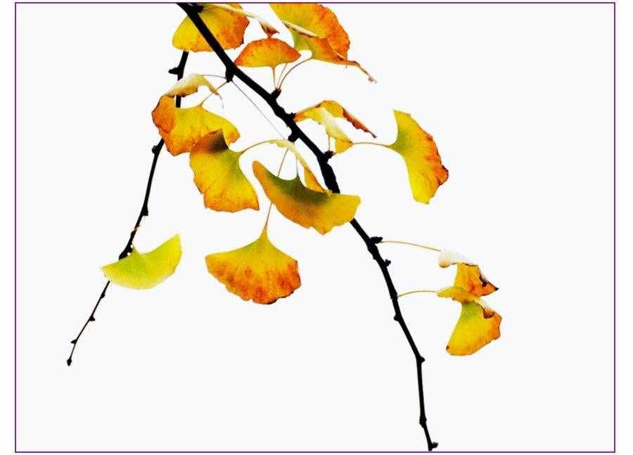 创意儿童画教程｜秋天的美景