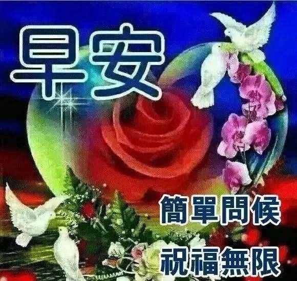 友不言挚爱，友情谊深心心相连，祝朋友：身体健康事业旺，早安