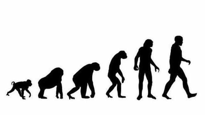 关于袋鼠的小知识,你觉得它是左撇子还是右撇子?