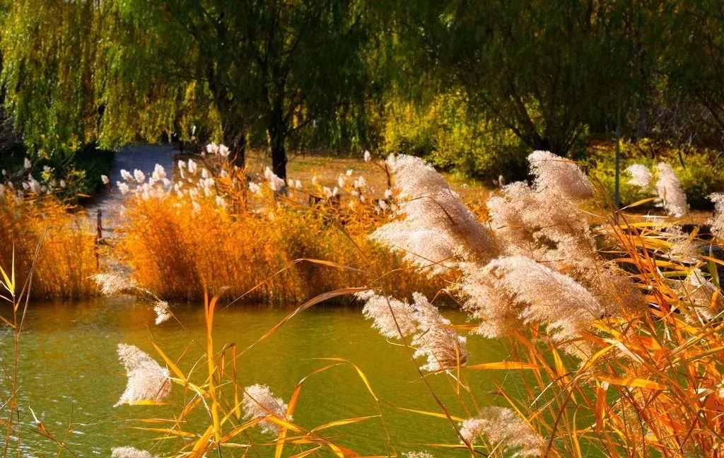 6个北京秋日最有灵气的景点！让我们真正走进大自然，而不只是路过