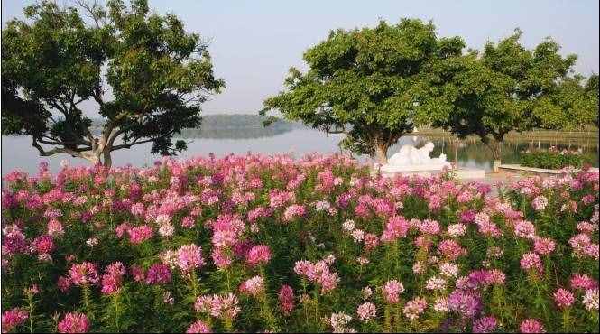 东莞松山湖附近好玩的旅游景点