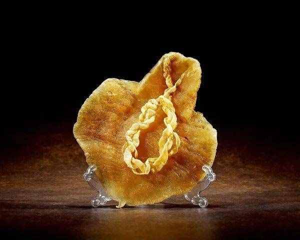 花胶怎样吃？怎样选？越贵越好吗？看这一篇就够了