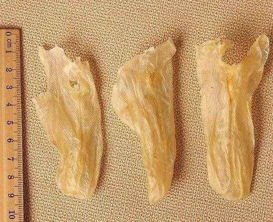 花胶怎样吃？怎样选？越贵越好吗？看这一篇就够了