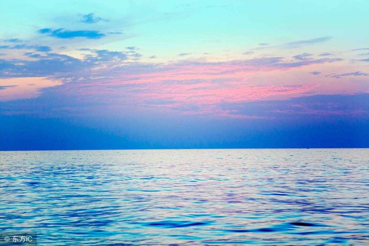 最接地气的高级情话,暖心撩人,温柔只给意中人!