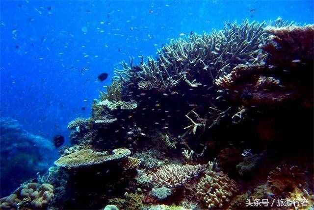 世界上最大的海，面积相当于半个中国