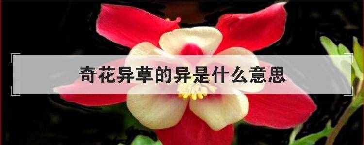 奇花异草的异是什么意思
