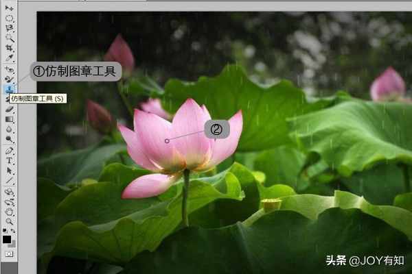 Photoshop从入门到精通:图章工具,教你用图章工具精美图像