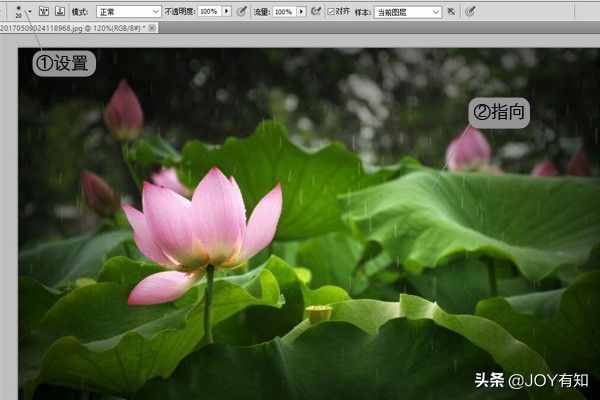 Photoshop从入门到精通:图章工具,教你用图章工具精美图像