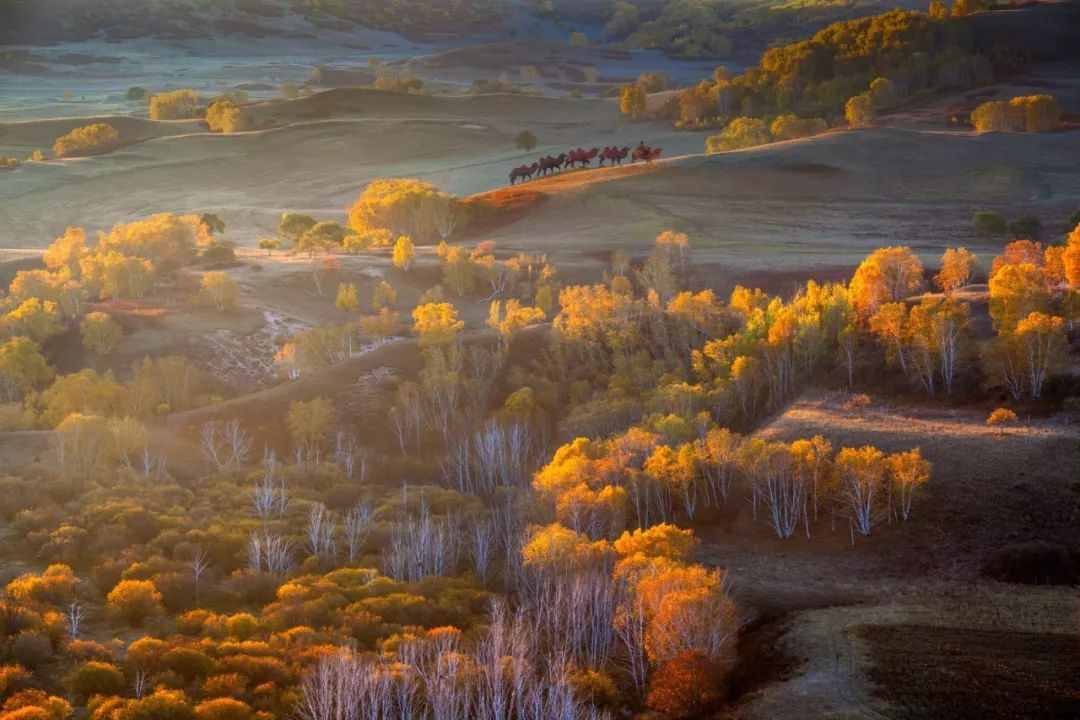 9月最佳旅行目的地,感受初秋之美,10个最美地方适合出去走走