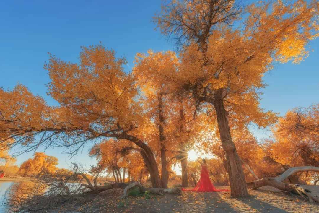 9月最佳旅行目的地,感受初秋之美,10个最美地方适合出去走走