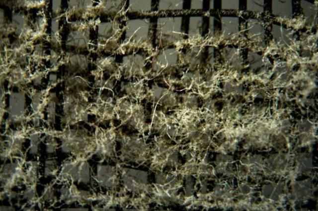 拆开空调滤网才知道里面有多脏!教你5个步骤,轻松洗干净!