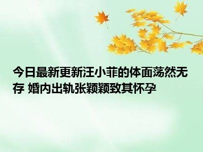 今日最新更新汪小菲的体面荡然无存 婚内出轨张颖颖致其怀孕