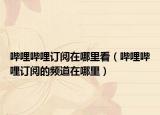 哔哩哔哩订阅在哪里看（哔哩哔哩订阅的频道在哪里）