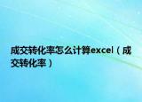 成交转化率怎么计算excel（成交转化率）