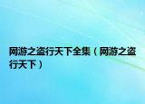 网游之盗行天下全集（网游之盗行天下）