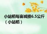 小站稻每亩减损6.5公斤（小站稻）