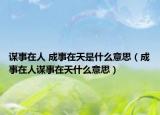 谋事在人 成事在天是什么意思（成事在人谋事在天什么意思）