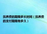抚养费的期限多长时间（抚养费的支付期限有多久）