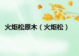 火炬松原木（火炬松）
