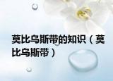 莫比乌斯带的知识（莫比乌斯带）