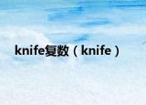 knife复数（knife）
