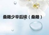 桑籍少辛后续（桑籍）