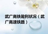武广高铁盈利状况（武广高速铁路）