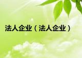 法人企业（法人企业）