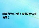 吸猫为什么上瘾（吸猫为什么有快感）