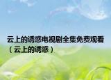 云上的诱惑电视剧全集免费观看（云上的诱惑）