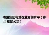 春兰集团电池在业界的水平（春兰 集团公司）