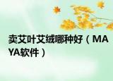 卖艾叶艾绒哪种好（MAYA软件）