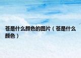 苍是什么颜色的图片（苍是什么颜色）