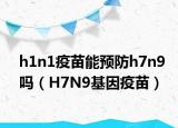 h1n1疫苗能预防h7n9吗（H7N9基因疫苗）