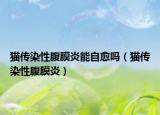 猫传染性腹膜炎能自愈吗（猫传染性腹膜炎）