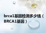 brca1基因检测多少钱（BRCA1基因）