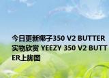 今日更新椰子350 V2 BUTTER实物欣赏 YEEZY 350 V2 BUTTER上脚图