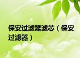 保安过滤器滤芯（保安过滤器）