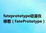 fateprototype动漫在哪看（FatePrototype）