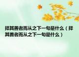 择其善者而从之下一句是什么（择其善者而从之下一句是什么）