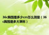 36c胸围是多少cm怎么测量（36c胸围是多大罩杯）