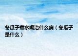 冬瓜子煮水喝治什么病（冬瓜子是什么）
